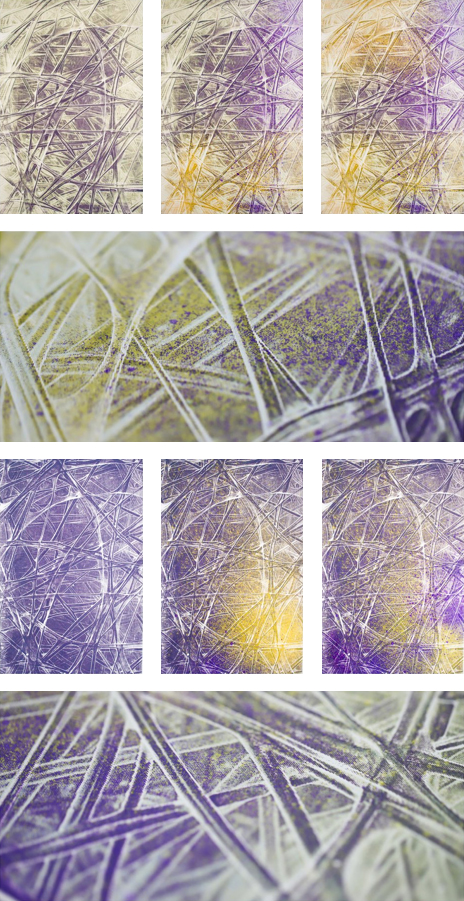 Bombyx Mori Silk