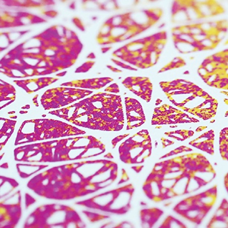 Art & Science